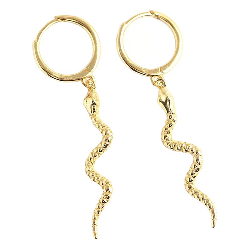 Yhe0107 Cross-Border Hot-Selling European and American Exaggerated Earrings S925 Sterling Silver Long Snake-Shaped Earrings Mixed with Silver Earrings