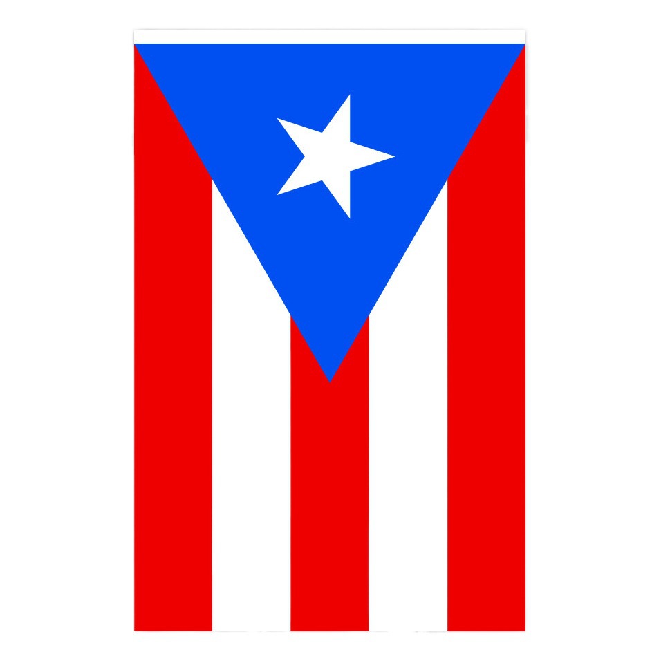 14*21cm Puerto Rico flag square fan flag 20*28cm flag polyester flag factory in stock