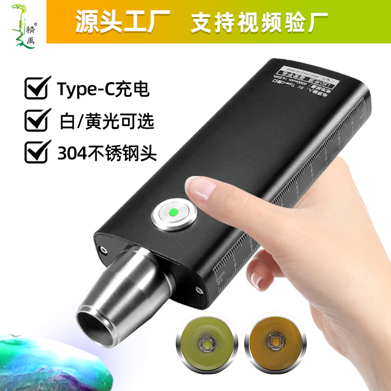 Jewelry Flashlight Identification Lamp Strong Light Charging Egg Light Jewelry White Light Jade Stone Play Identification Jadeite Hand Lamp
