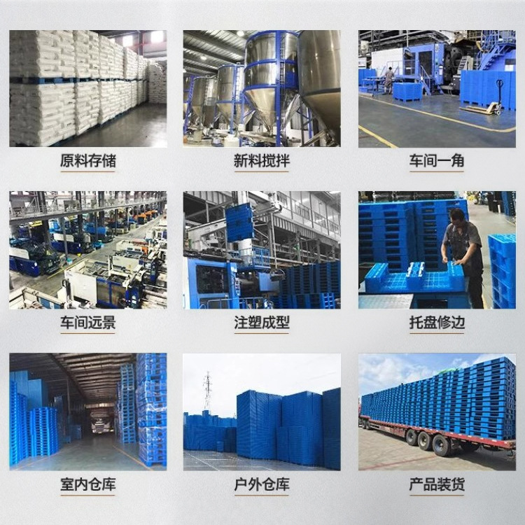 Industrial Plastic Pallet Forklift Warehouse Stereo Library Logistics Cargo Pallet Plastic Pallet Platform Flat Sichuan Characters