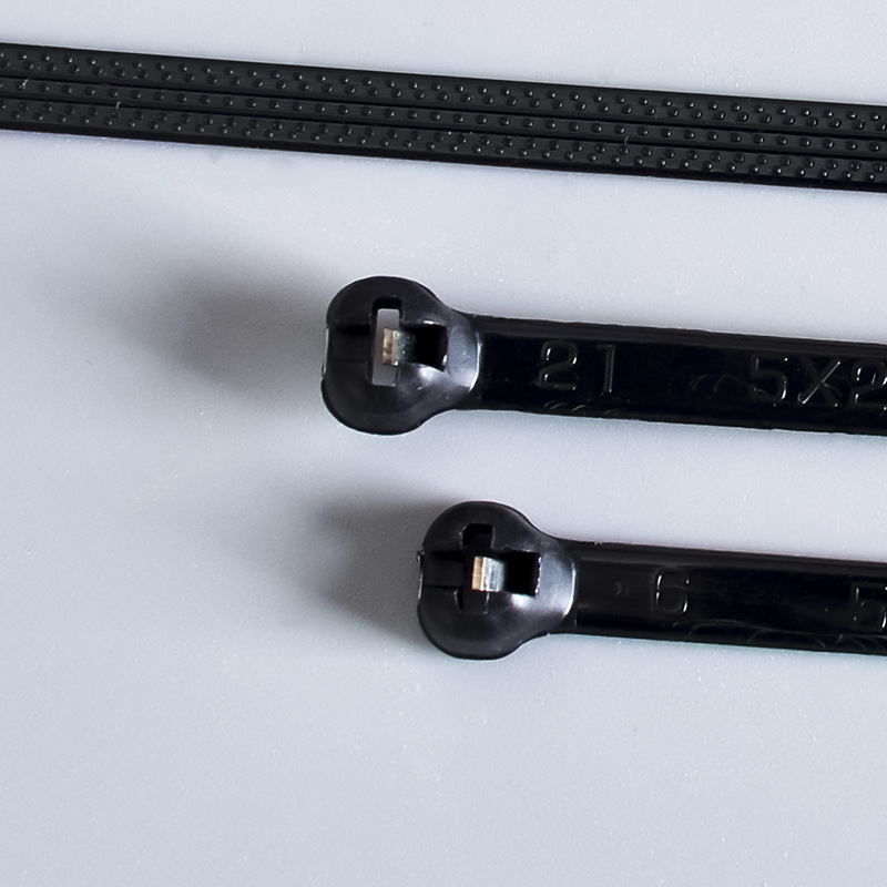 Picture of Marine Cable Tie Marine Nylon Cable Tie Steel Sheet Metal Buckle Cable Tie Inset 304 Stainless Steel Core Inset Cable Tie