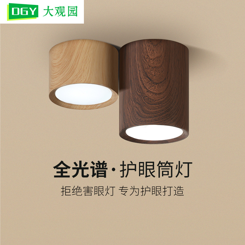LED exposed downlight, living room ceiling light, entrance aisle light, full spectrum eye protection, living room without main light lighting L335
