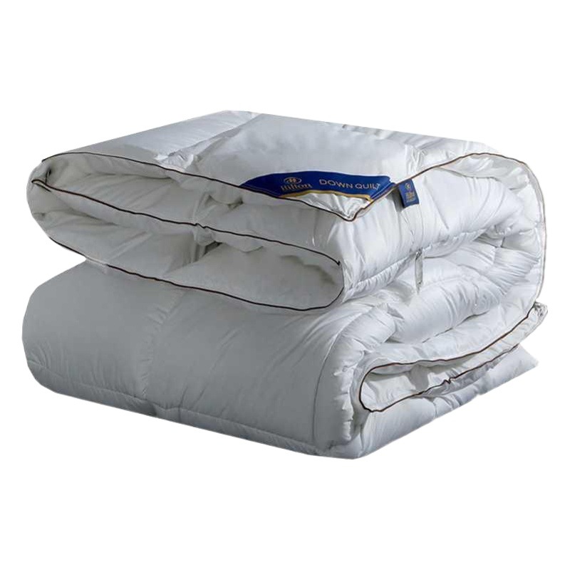 Direct selling autumn and winter thickened warm feather velvet quilt Hilton hotel imitation goose down quilt core gift quilt wholesale