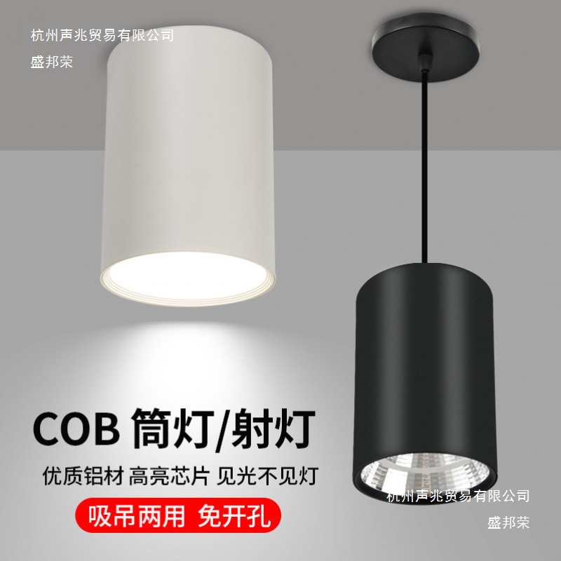 LED exposed downlight, COB exposed spotlight, round hanging wire, ceiling aisle background, no hole 4 inches, no main light