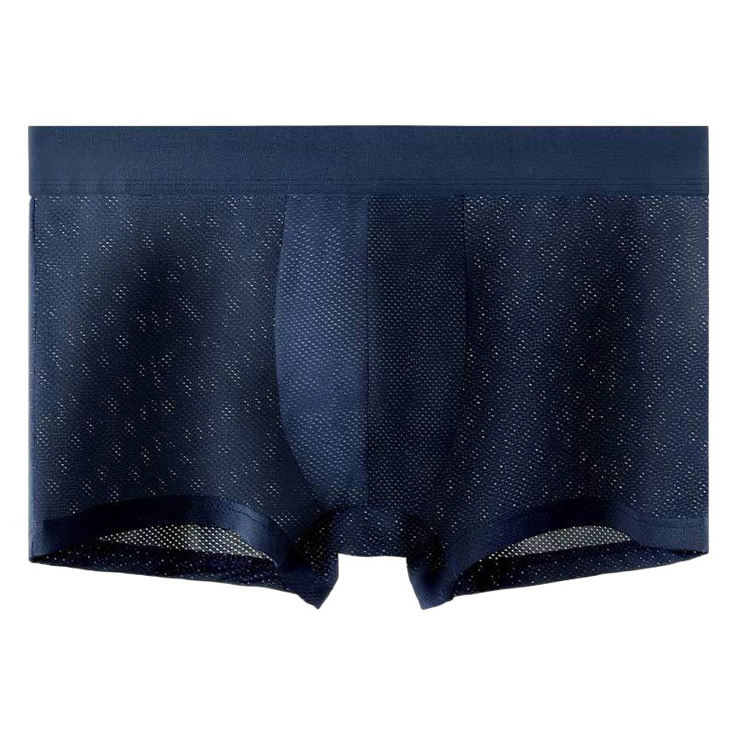 Men's Ice Silk Antibacterial Underwear Breathable Mesh Pants Top Summer Thin Boxer Sexy Comfortable Short Pants Top