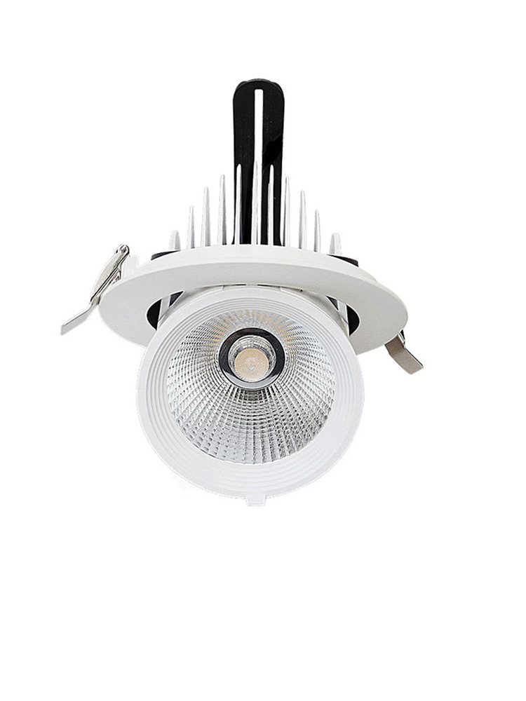 Picture of Home ceiling clothing store commercial super bright background cob spotlight led spotlight embedded ceiling wall elephant nose light