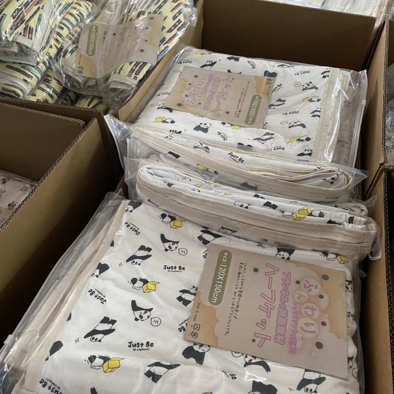 Export to Japan Foreign Trade orders autumn and winter flannel warm blanket kindergarten nap blanket hosting children cartoon blanket