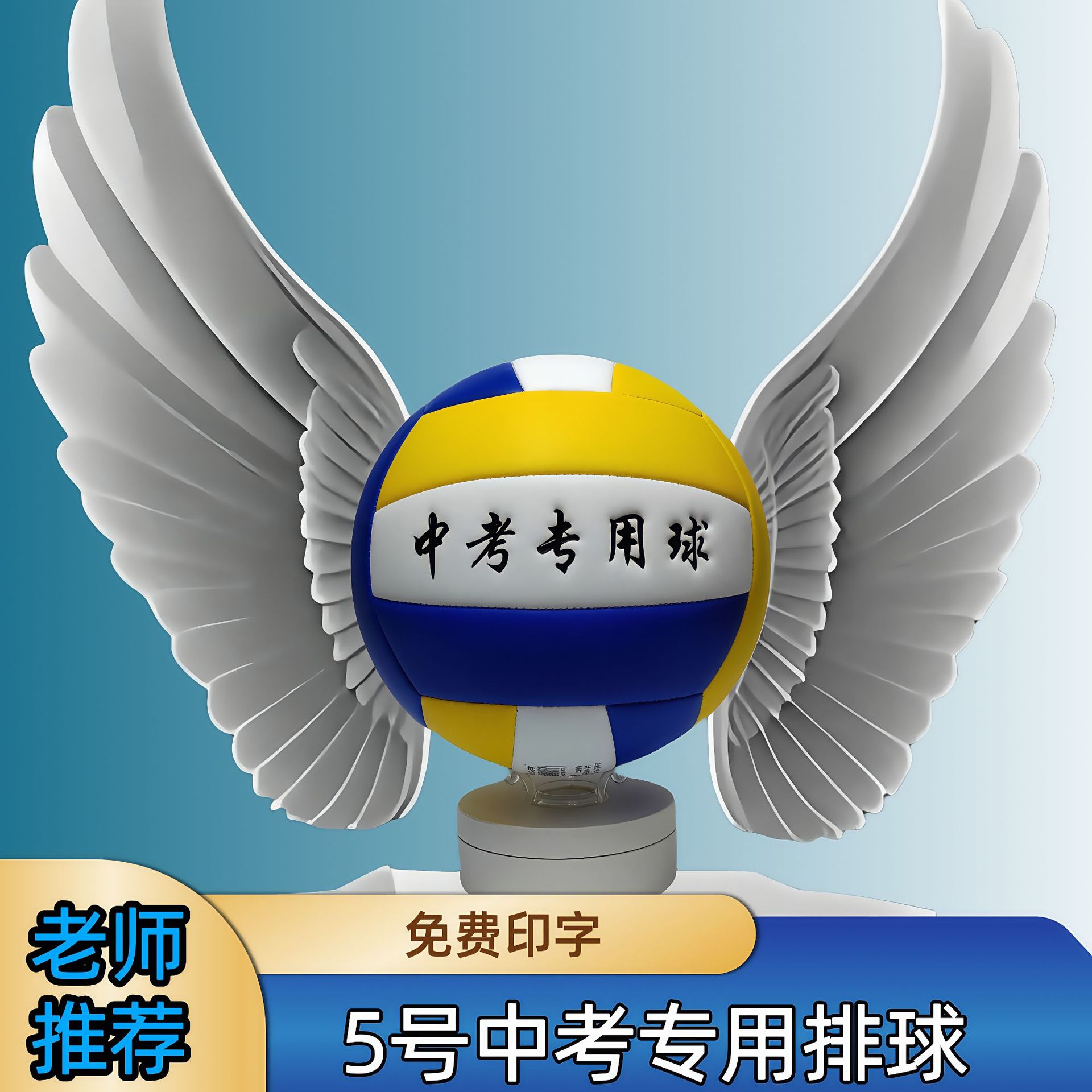 Gao Yanyi No.5 Volleyball Senior High School Entrance Examination Special Standard Match Training Ball Junior High School Students Physical Education Examination Soft Hard Volleyball