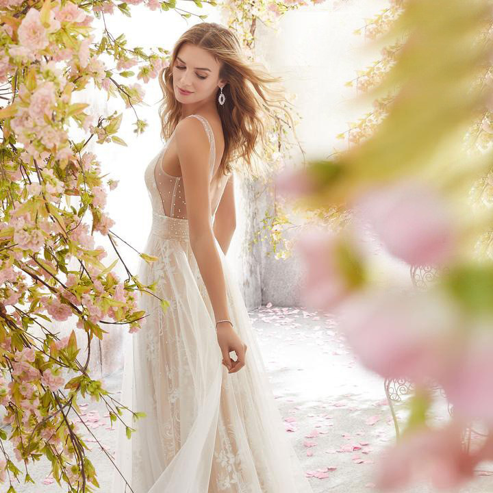 Picture of 2025 Spring European and American Export New Wedding Dress Wish Amazon Sexy V Neck Sleeveless Lace Wedding Dress