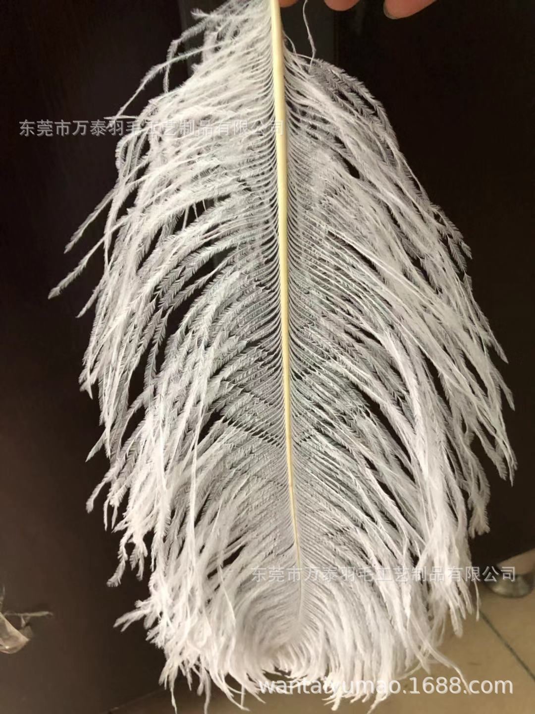Wide silk ostrich feather white whole ostrich feather Nordic lampshade decoration wedding flower arrangement table decoration