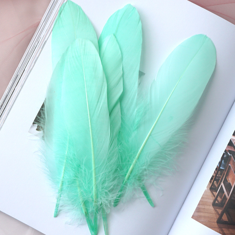 Picture of Feather color goose feather hard big floating dream catcher sunflower kindergarten handmade art class material wings decoration