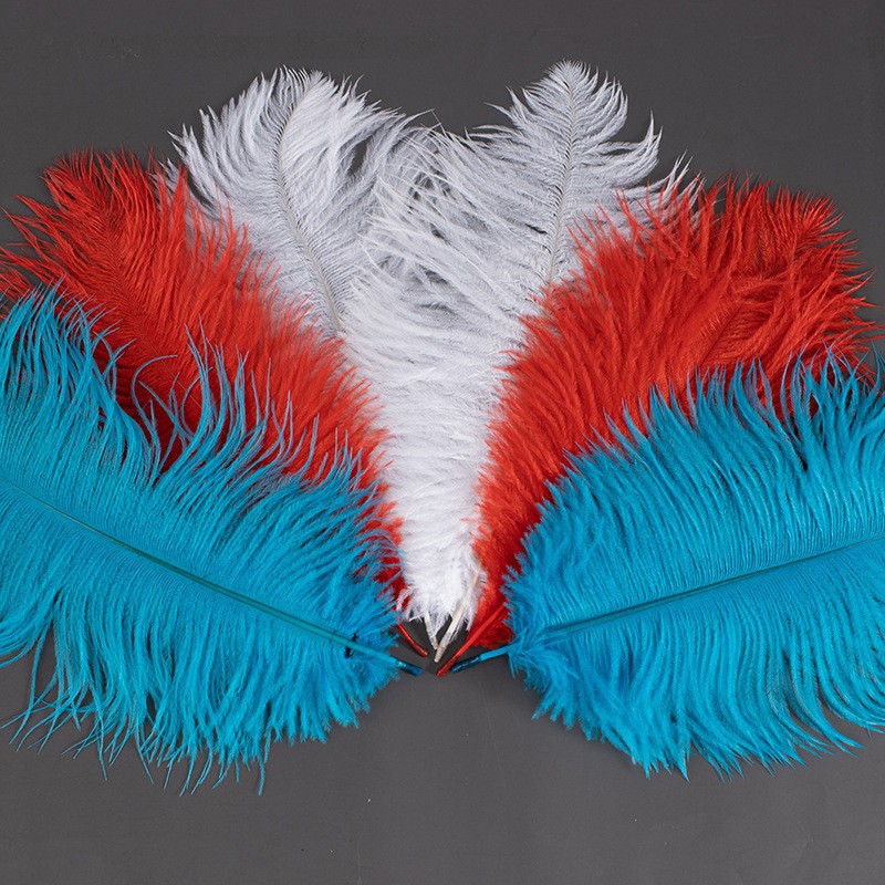 The Manufacturer Has a Large Number of Supply 25-30cm Ostrich Feather Lighting Feathers, Light and Luxurious Real Feathers in Stock