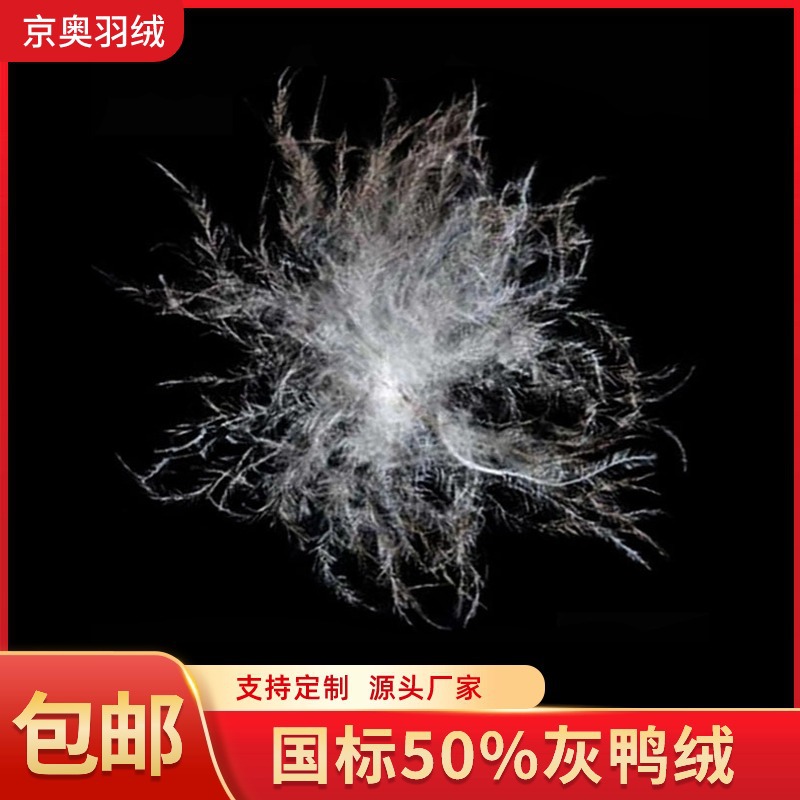 New group standard 50 gray duck down clean fluffy big wash 50 gray duck down bulk down filler feather wholesale
