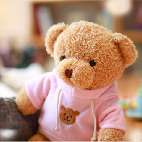 Picture of Sweater Teddy Bear Hug Bear Doll Plush Toy Bear Pillow Doll Wedding Gift Cute