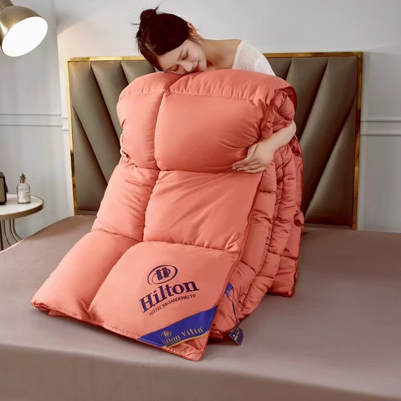 Picture of Hilton Doubletree Silk Cotton Quilt Hotel Feather Velvet Spring, Autumn and Winter Quilt Core Can Be Used in All Seasons, Same Style as Hotel Quilt
