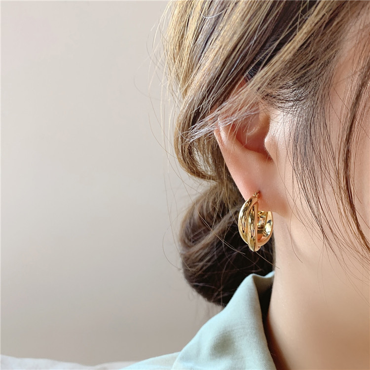Korean Light Luxury Hoop Earrings 2025 New Niche Simple Metal Silver Needle Earrings for Women with a High-End Feel