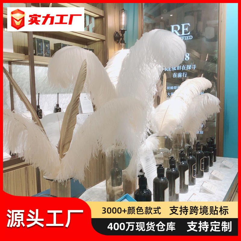 Manufacturer Wholesale 15-80cm Large Ostrich Feather White Feather Decoration Wedding Road Guide Photo Props Living Room Decorations