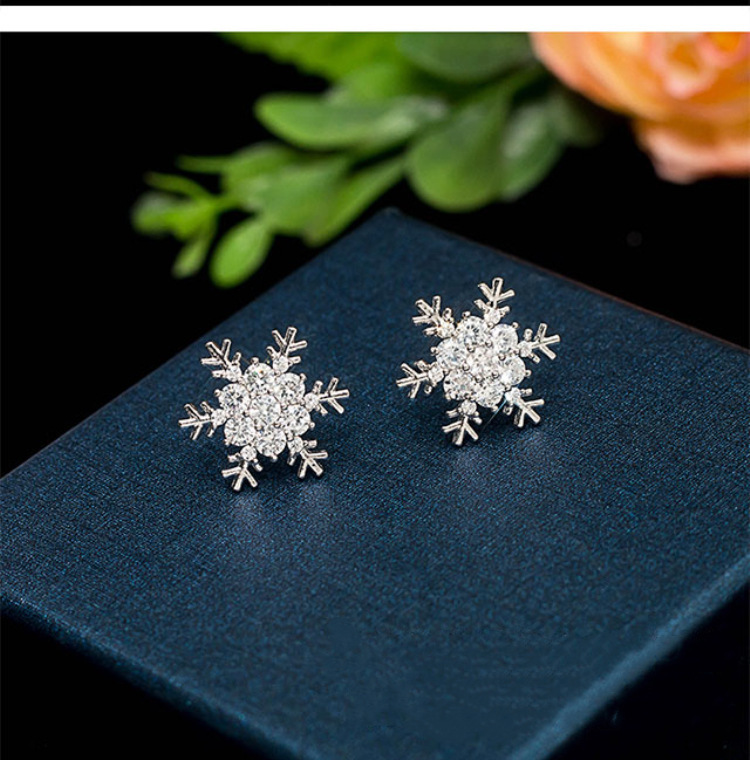 Picture of Korean S925 Silver Pin Fashion Earrings Long Tassel Snowflake Tassel Earrings Metal Texture Personality Elegant Earrings