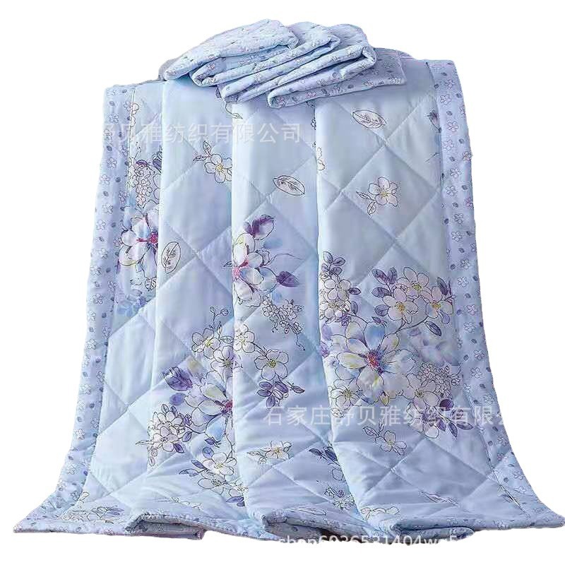 Picture of New Summer Cool Quilt Air-Conditioned Quilt Single and Double Thin Quilt Company Welfare Gift Quilt Spring & Fall Quilt Core Machine Washable