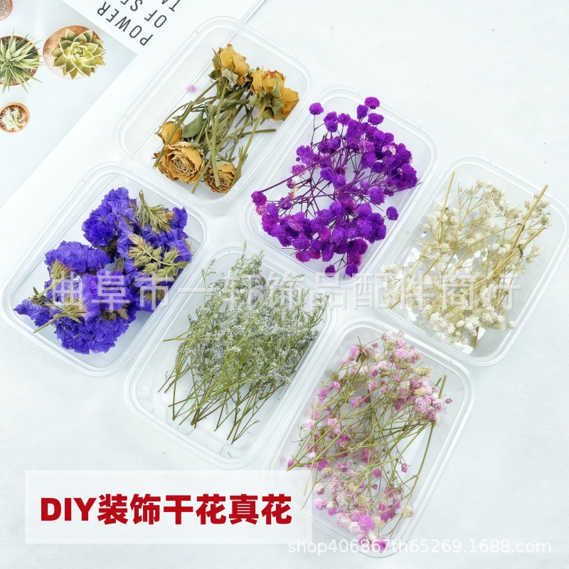 Dried Flower DIY Material Boxed Real Flower Air-Dried Forget-Me-Not Rose Lover Grass Gypsophila Decorative Flower Material Handmade