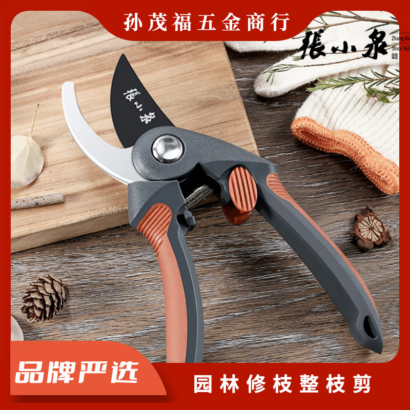 Zhang Xiaoquan Garden Scissors Pruning Branches Fruit Tree Gardening Tools Floral Shears Pruning Shears Z Wholesale H-325