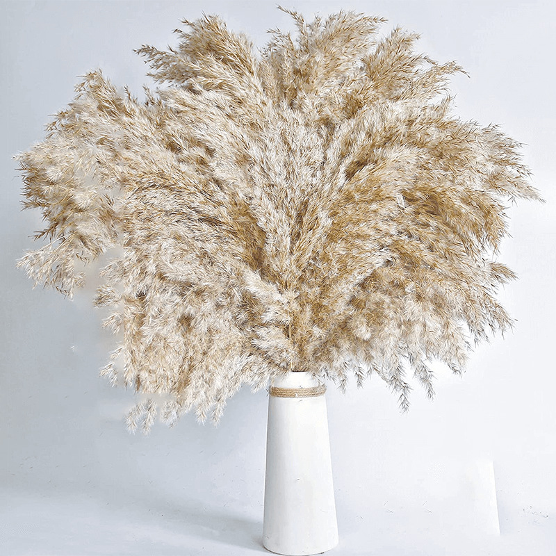 Picture of Cross-border Hot Sale Bohemian Style Decoration Fluffy Pampas Grass Natural Pampas Decorative Dried Flower bouquet