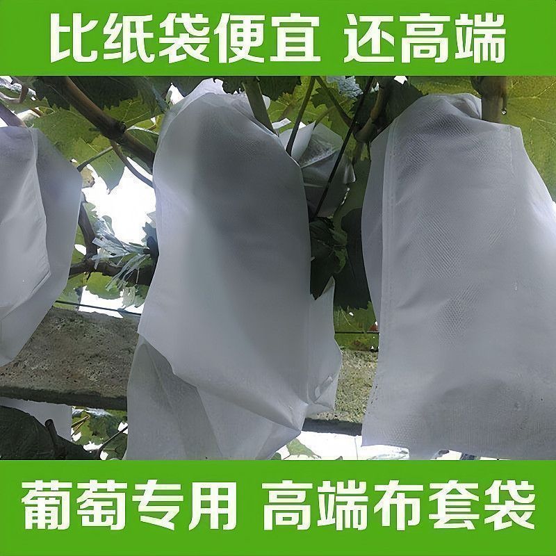 Picture of Orchard Light-Transmitting Mesh Bagging Fruit Insect-Proof Breathable Wire Mesh Bag Fig Tomato Grape Anti-Bird Special