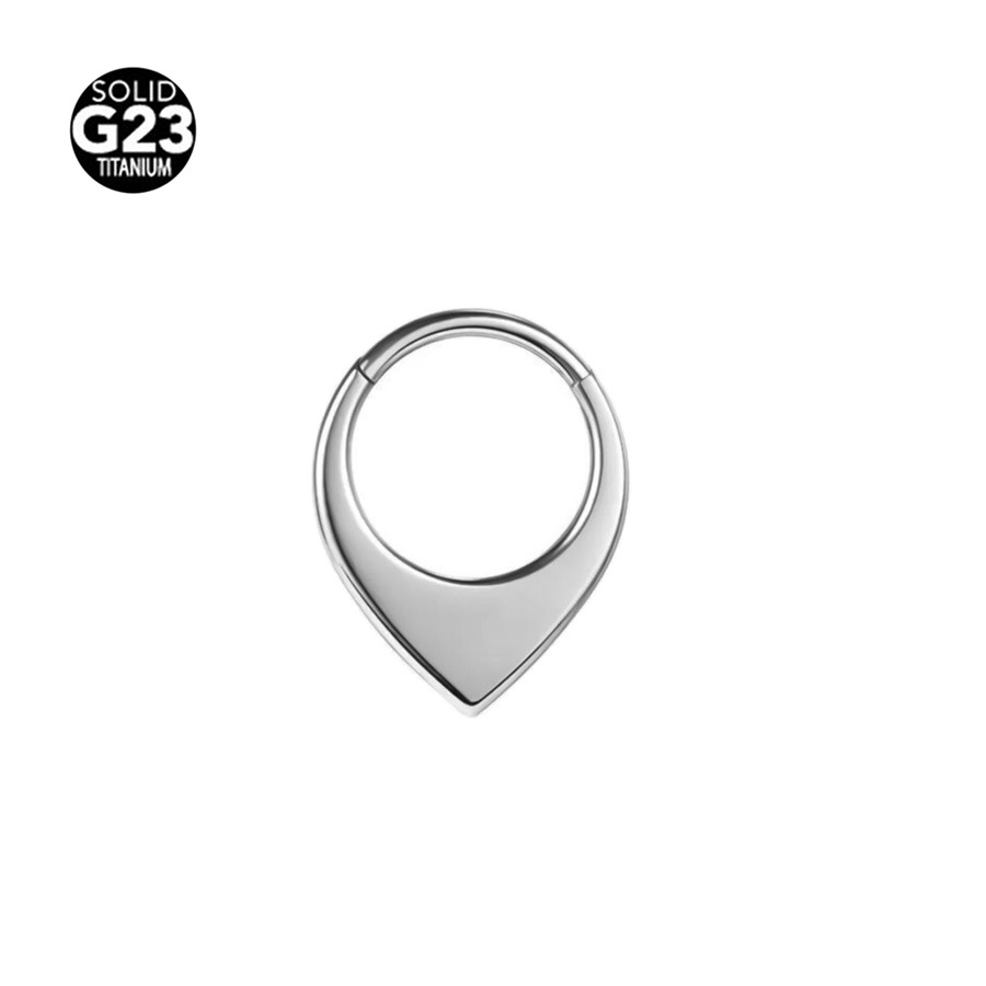 Picture of Cross-border explosions G23 titanium face triangle nose ring earrings 316 seamless nose ring ear ring body piercing jewelry