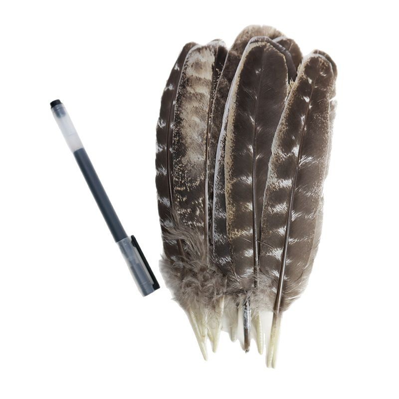 Picture of Wholesale natural striped flower chicken nest feather feather feather DIY craft jewelry decoration handmade accessories material turkey feather
