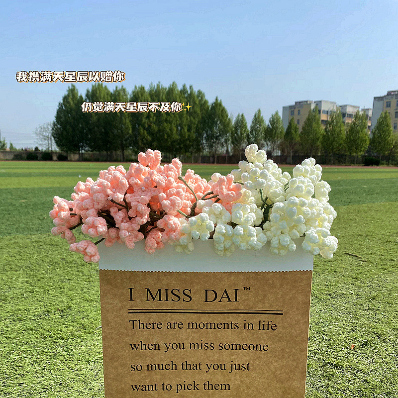Send You A Sky Full of Stars hand-woven diy bouquet finished wool homemade gift Eternal Flowers for friends and girlfriends