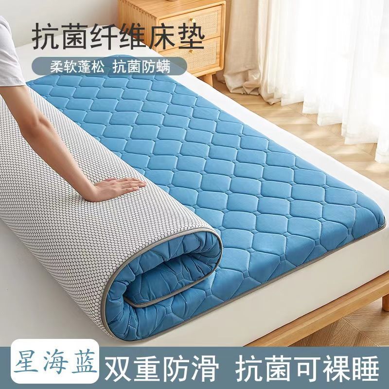 Picture of Mattress Home Cushion Thickened Tatami Mattress Bottom Bedroom Dormitory Student Single Rent Special Mat 2