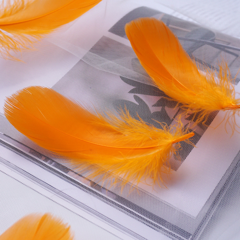 Picture of Macaron color feather decoration goose feather large and medium floating dream catcher gift box filled bouquet diy handmade material