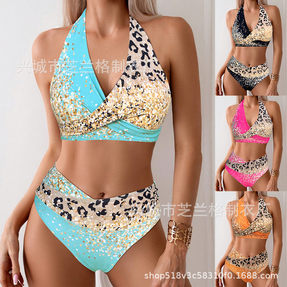 2025 Cross-border New Leopard Gradient Bikini Split European and American Foreign Trade Women's Swimsuit Two-piece Bikini