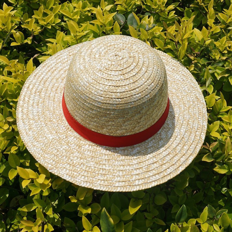 Picture of One Piece Luffy Beach Hat Children's Outdoor Sunshade Straw Hat Male and Female Students Travel Straw Hat