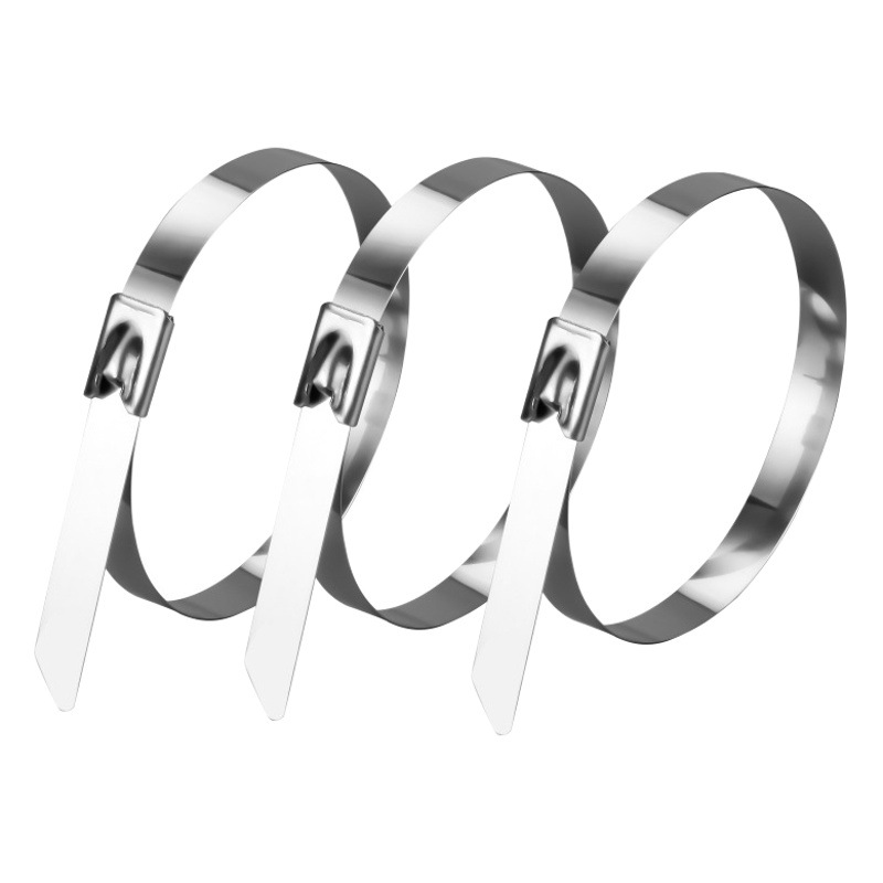 Picture of 304 stainless steel tie self-locking outdoor tie Marine buckle large ribbon tie fixed tie line