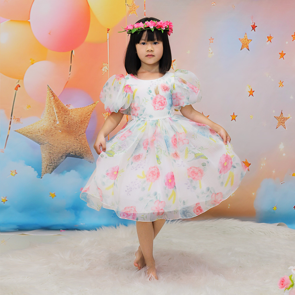 Picture of Girls' Dress European and American Puff Sleeve Princess Dress Children's Floral Mesh Puff dress 2024 Flower Girl Wedding Dress