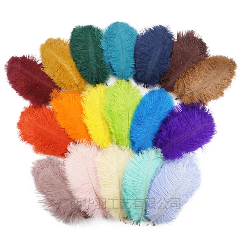Picture of 10-15cm ostrich hair source factory bouquet wedding decoration feather wall handmade DIY crafts stage clothing