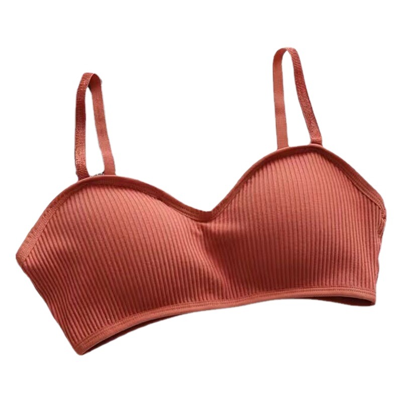 Special Sale Spring and Summer New Style Underwear Gathering Base Boot Anti-sagging Sexy Bra Base Small Camisole Vest for Women