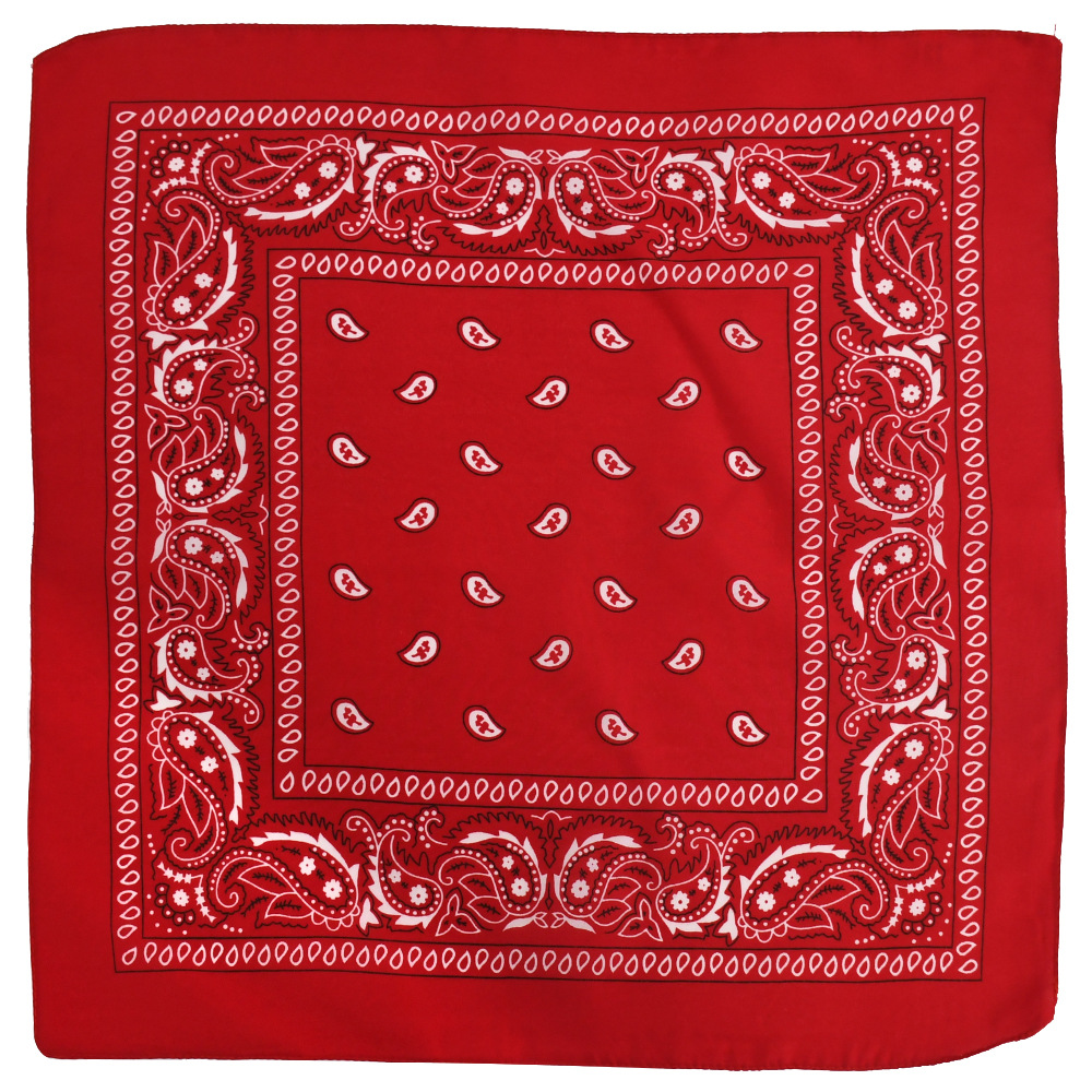 Picture of Factory direct supply in stock polyester square paisley scarf wholesale hip hop hip hop riding cashew flower scarf
