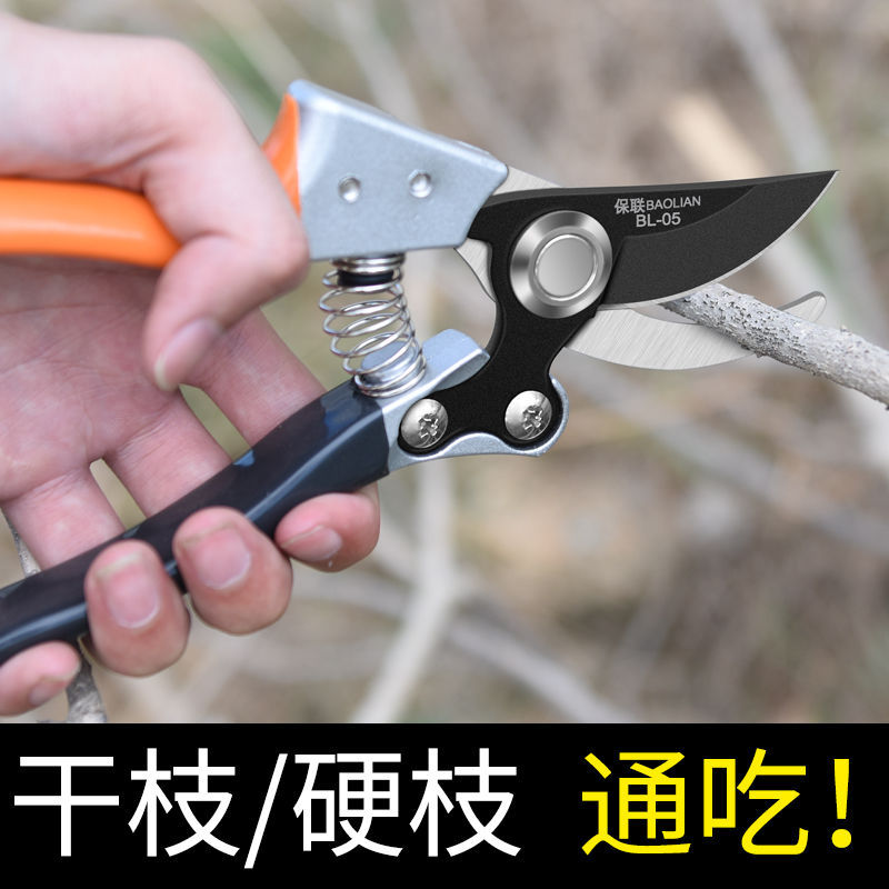 Pruning scissors Fruit tree pruning pruning shears gardening pruning shears gardening pruning shears flower pruning shears potted flower shears