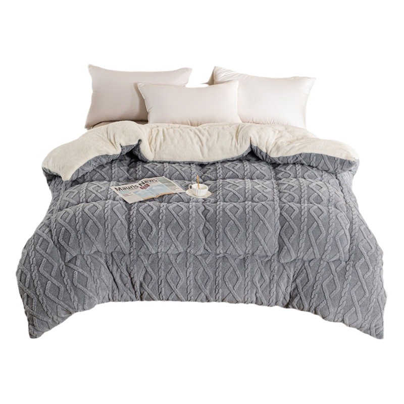 Thick warm Tower velvet winter quilt lambswool quilt Home Hotel single double student dormitory double-sided velvet quilt core