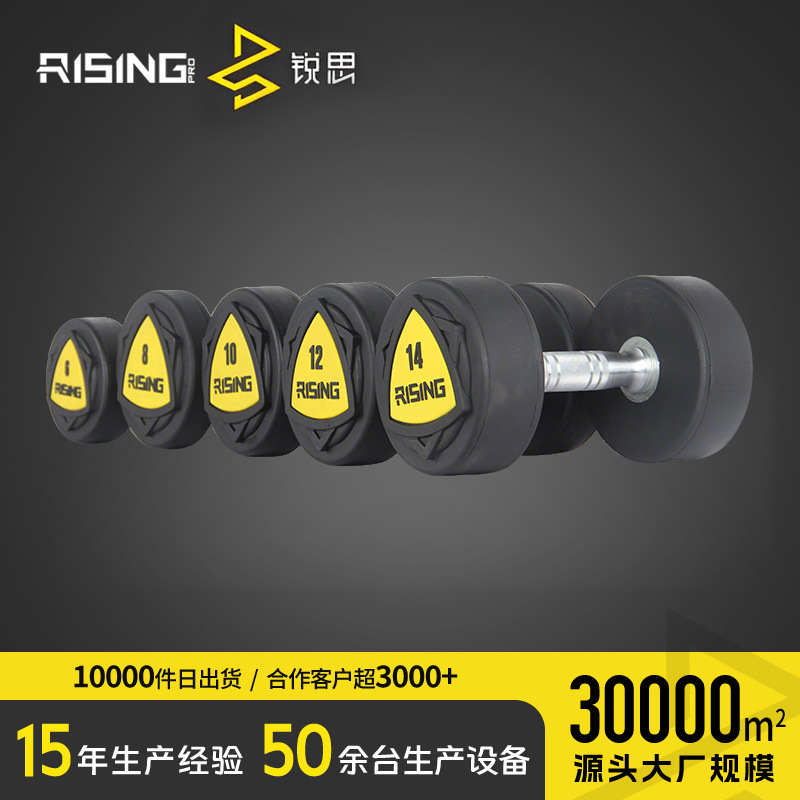 Commercial Fixed Pu Dumbbell Men's Fitness Personal Training Rubber-Coated Dumbbell Fixed Value Home Arm Muscle Training Round Head Dumbbell Set