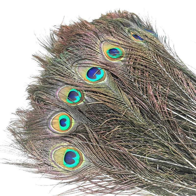 40-50cm Natural High Quality Peacock Eyes Peacock Hair Peacock Tail Peacock Eyes