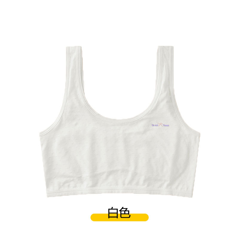 Picture of Girls' Development Stage One Underwear Bra for Girls without Steel Rings Tube Top for Adolescent Girls Vest Underwear for Students