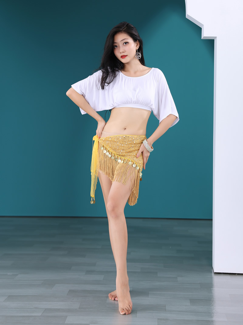 Picture of Belly Dance Waist Chain Women's Practice Clothes Hip Towel Beginner's Triangle Towel Bead Embroidered Tassel Belt Waist Seal Y1011