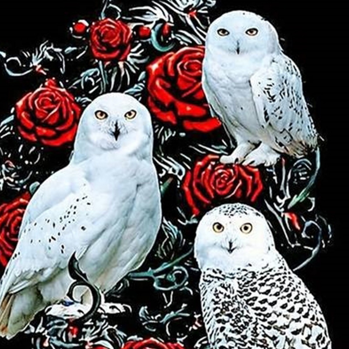 Picture of 5d full diamond diy animal landscape diamond painting foreign trade cross-border diamond embroidered full diamond rubik's cube round diamond craft decorative painting