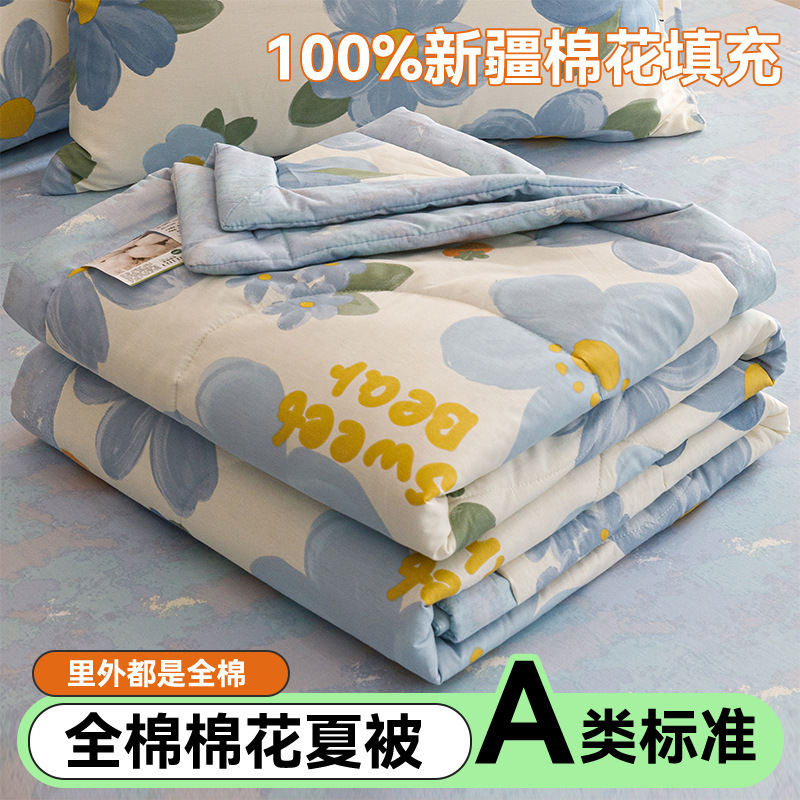 Picture of Class A cotton printed cotton summer quilt cotton washable air conditioner quilt Xinjiang cotton quilt core single double gift quilt