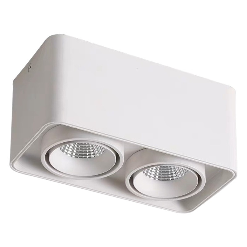 Ming-mounted double-headed LED bean gall spotlight all-aluminum full-spectrum downlight adjustable angle living room bedroom intelligent gall lamp