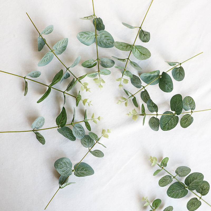 Picture of Amazon Simulation Single Money Leaf Eucalyptus Green Plant Wall Wedding Photography Photo Props High Artificial