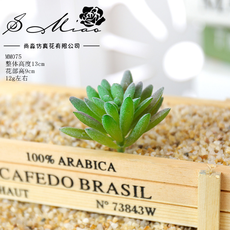 Picture of 003 Flocked Green Succulent Flower Head Creative DIY Supplies Bonsai Accessories Artificial Flower Jinhua Factory Direct Supply